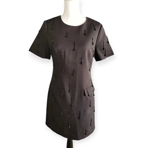 Endless Rose Beaded Fringe Mini Dress - Picture 10 of 11